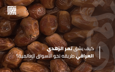 كنز بغداد الأصفر.. كيف يشق تمر الزهدي العراقي طريقه نحو الأسواق العالمية؟