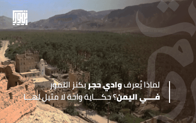 لماذا يُعرف وادي حجر بكنز التمور في اليمن؟.. حكاية واحة لا مثيل لها